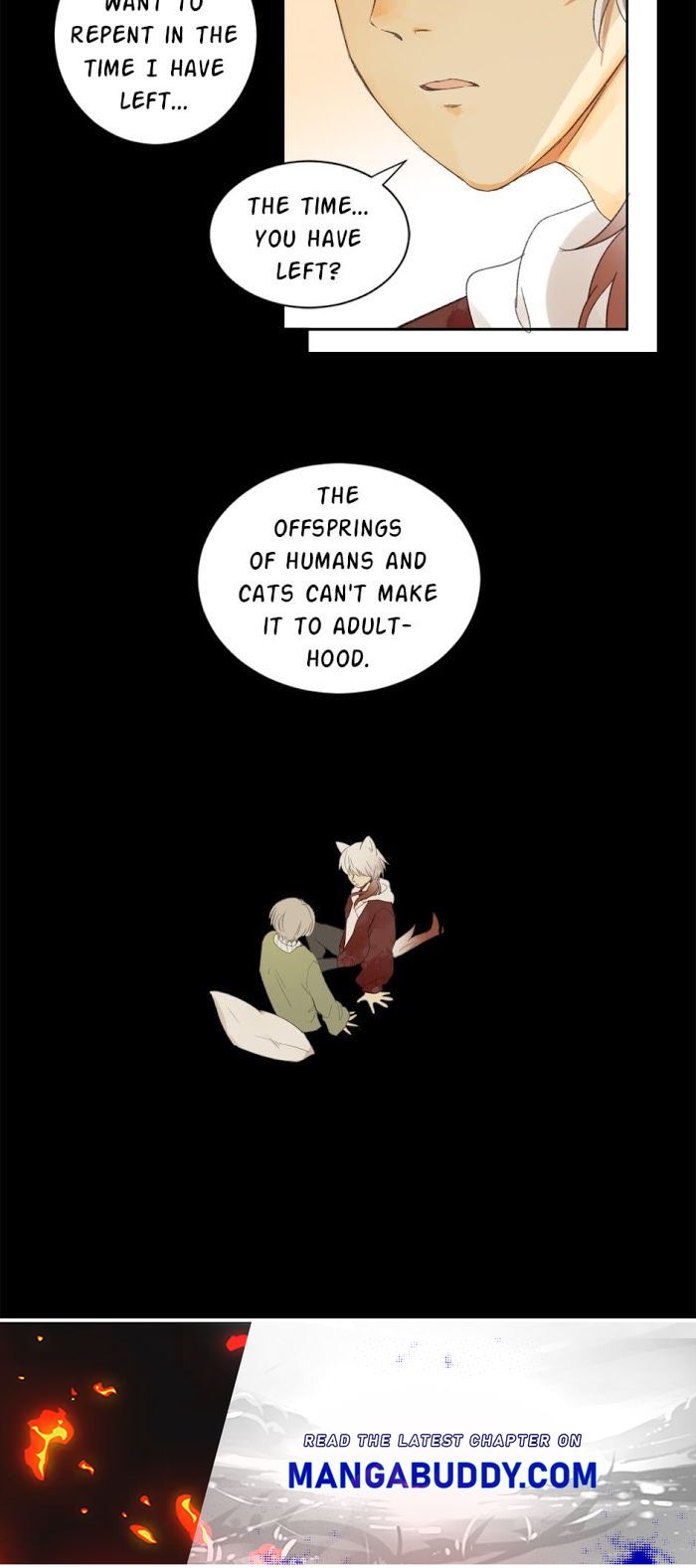 A World Ruled by Cats chapter 58 - page 33