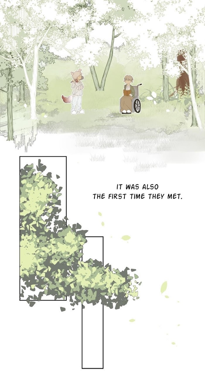 A World Ruled by Cats chapter 58 - page 8