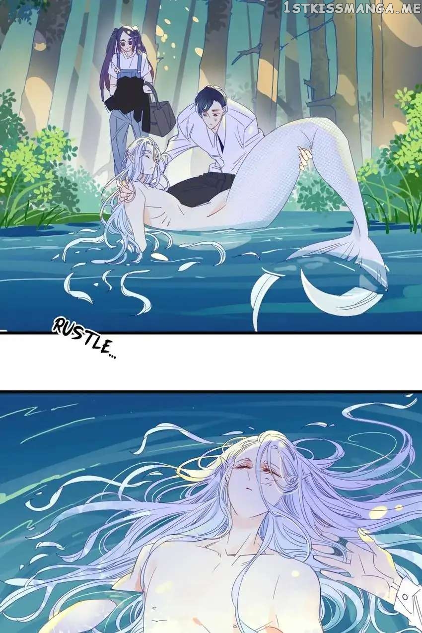 My Mermaid At Home chapter 16 - page 8
