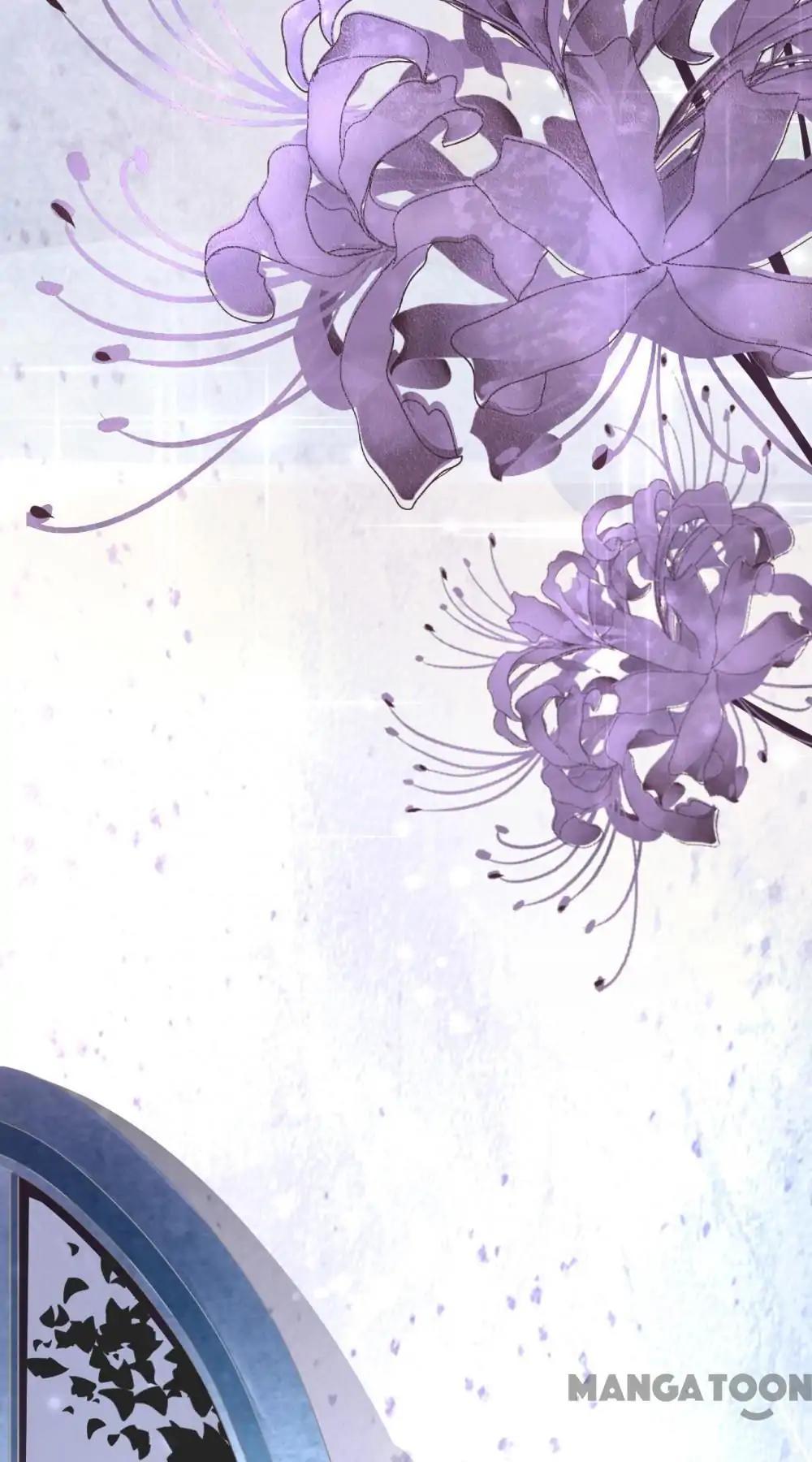 Mr. Darcy Next Door Chapter 2 - page 13