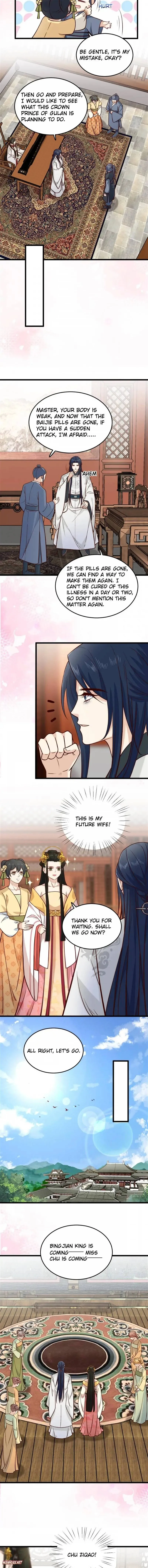 Counterattack of a scheming princess Chapter 33 - page 3
