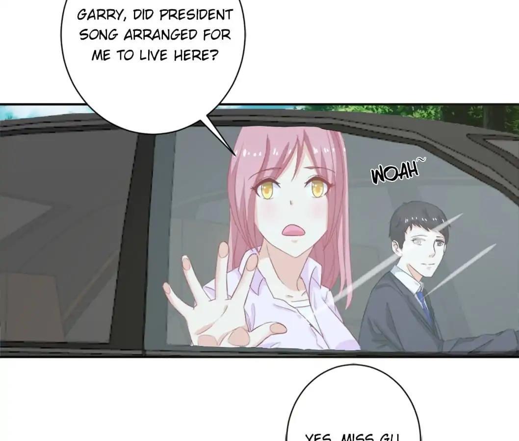 Your Spoiled Wife Here Chapter 5 - page 8