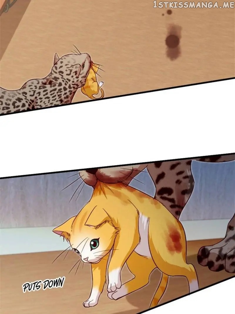 A Star Reborn: The Queen’s Return chapter 188 - page 17