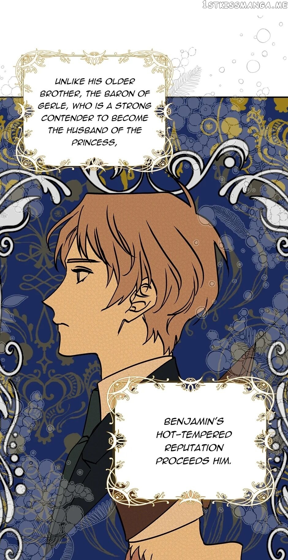 My Fair Footman chapter 38 - page 44