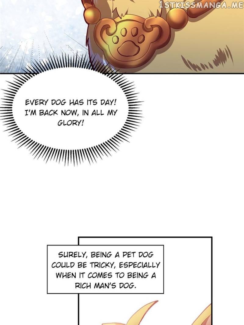 Reborn As A Dog chapter 4 - page 8