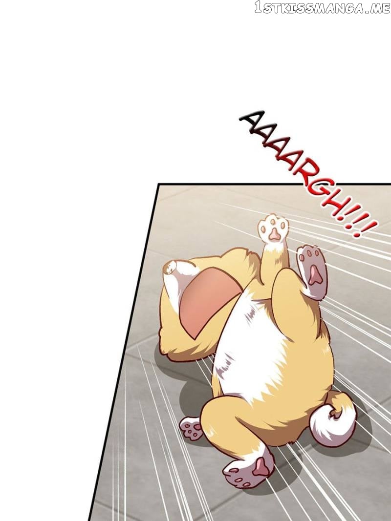 Reborn As A Dog chapter 3 - page 10