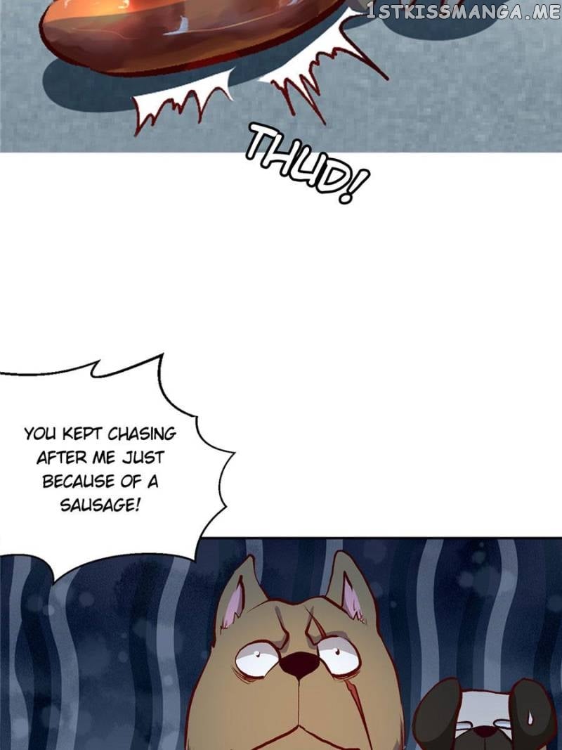 Reborn As A Dog chapter 2 - page 15
