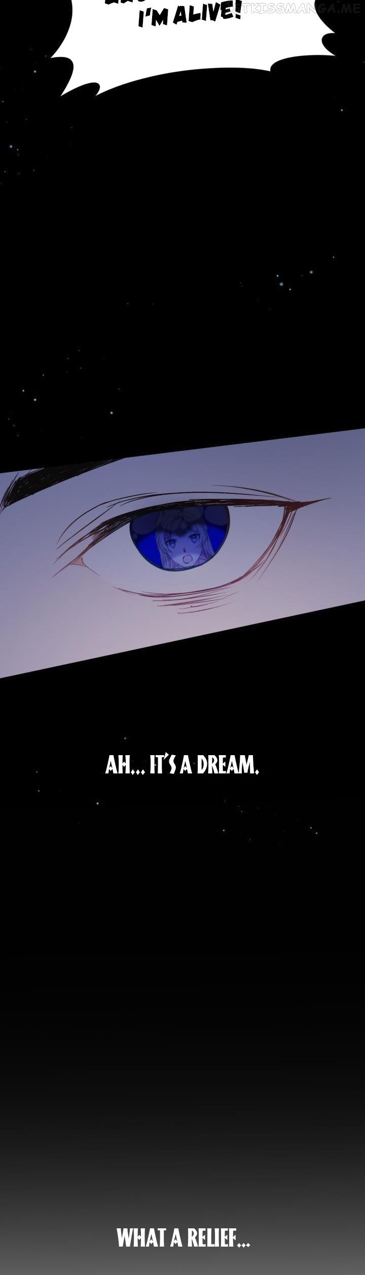 The Villain Dreams Of The Heroine Every Night Chapter 5 - page 24