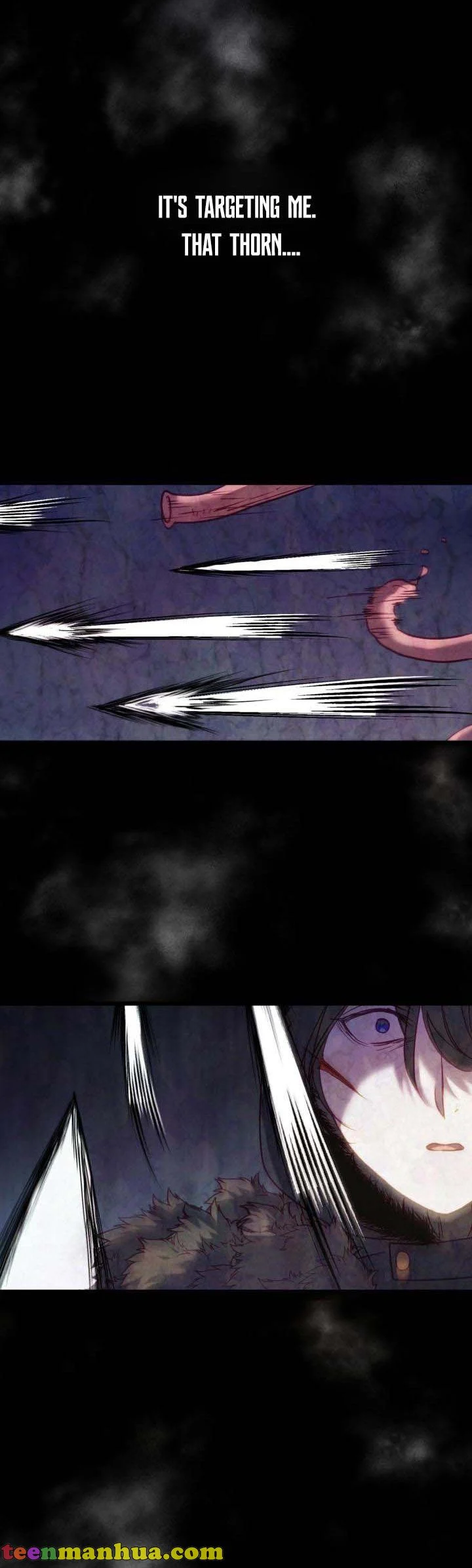 The Villain Dreams Of The Heroine Every Night Chapter 17 - page 42