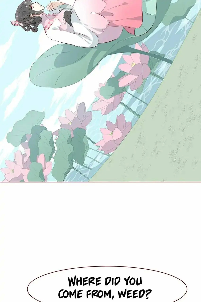 My Cactus Boyfriend chapter 20 - page 7