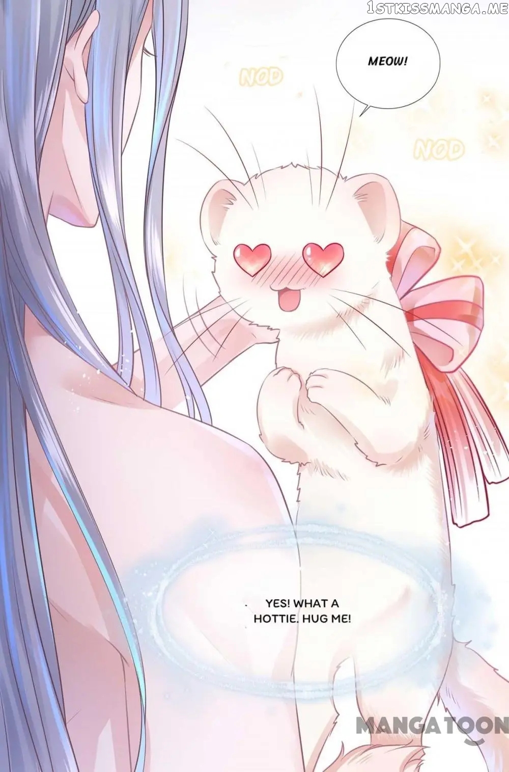Kitten Princess chapter 1 - page 34