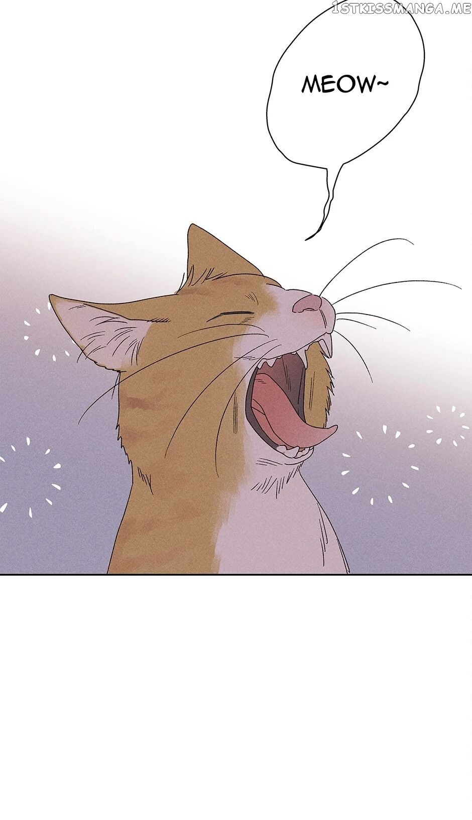 Sweet Spooky Darling chapter 15 - page 16