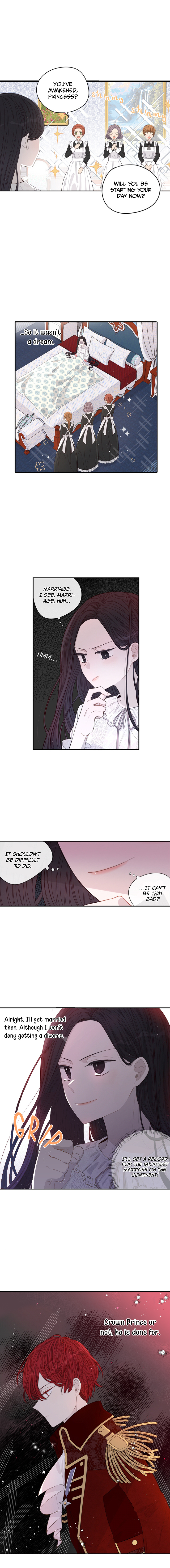 The Black Haired Princess chapter 2 - page 3