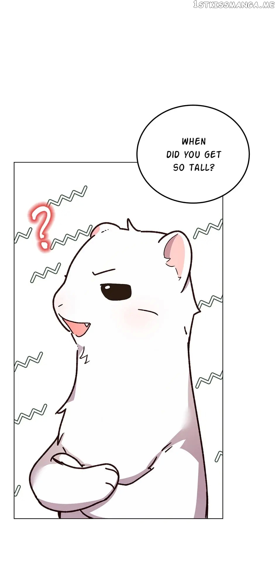 Cancel This Wish chapter 49 - page 33