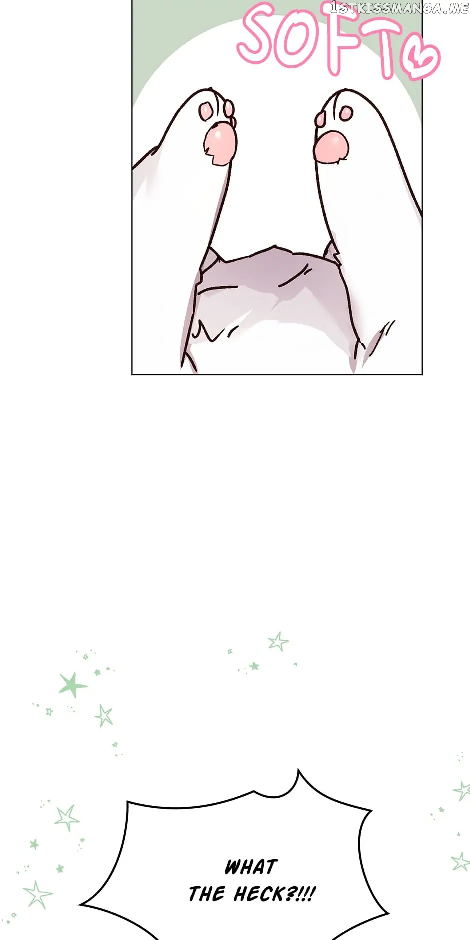 Cancel This Wish chapter 49 - page 37