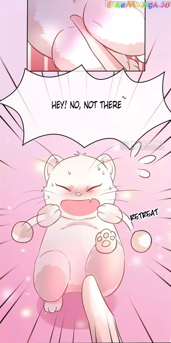 Raise A Mink As My Wife chapter 2 - page 25