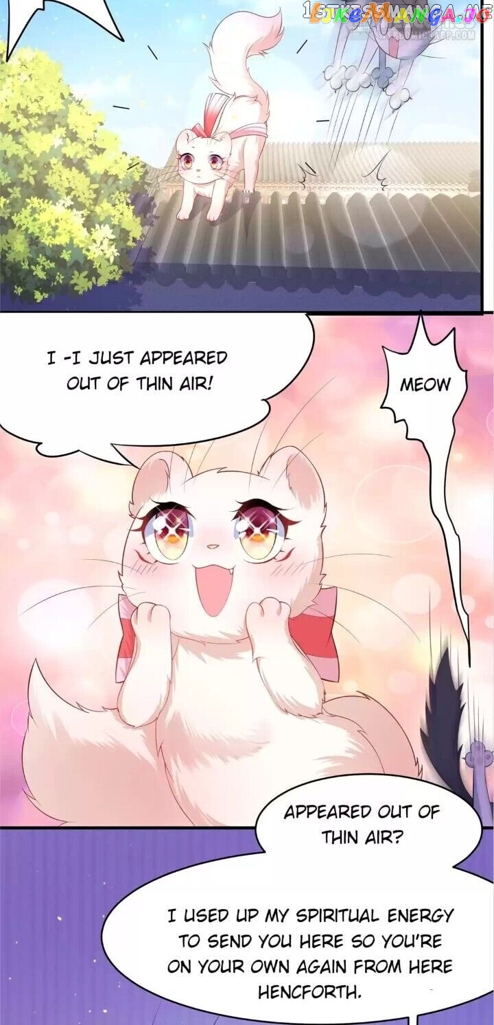 Raise A Mink As My Wife chapter 6 - page 9