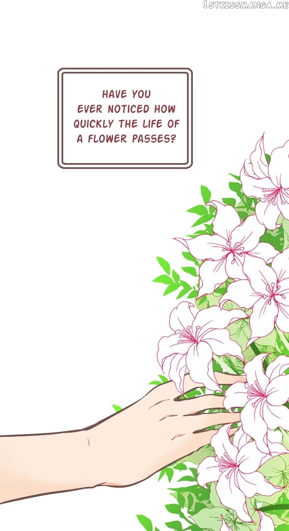 Love Curiosity: Hades x Persephone chapter 1 - page 1
