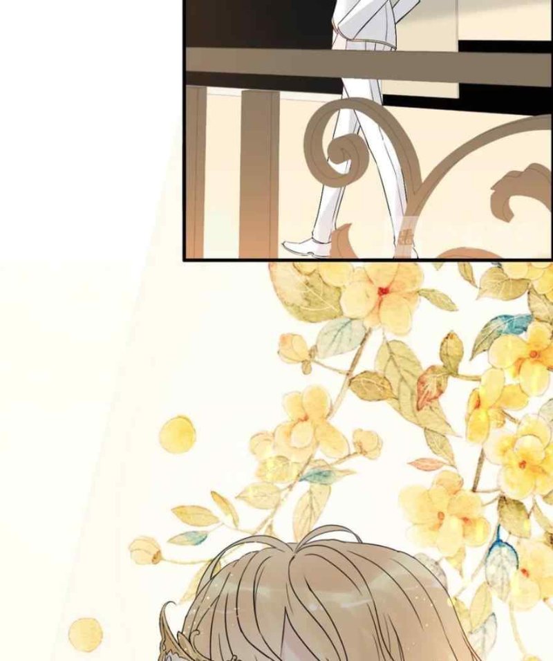 The Boss’ Shotgun Wedding chapter 217 - page 12
