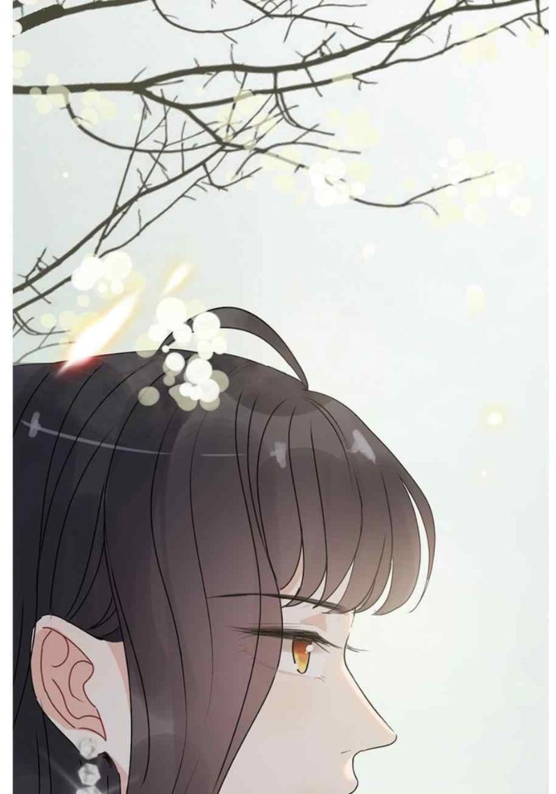 The Boss’ Shotgun Wedding chapter 230 - page 48