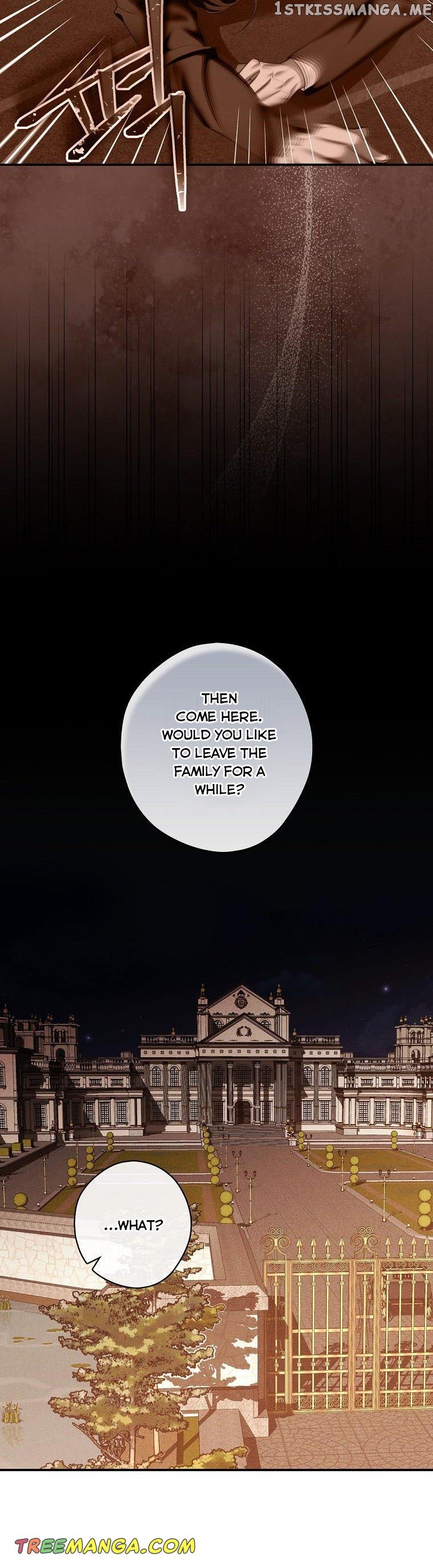 The Lady’s Dark Secret Chapter 39.5 - page 7