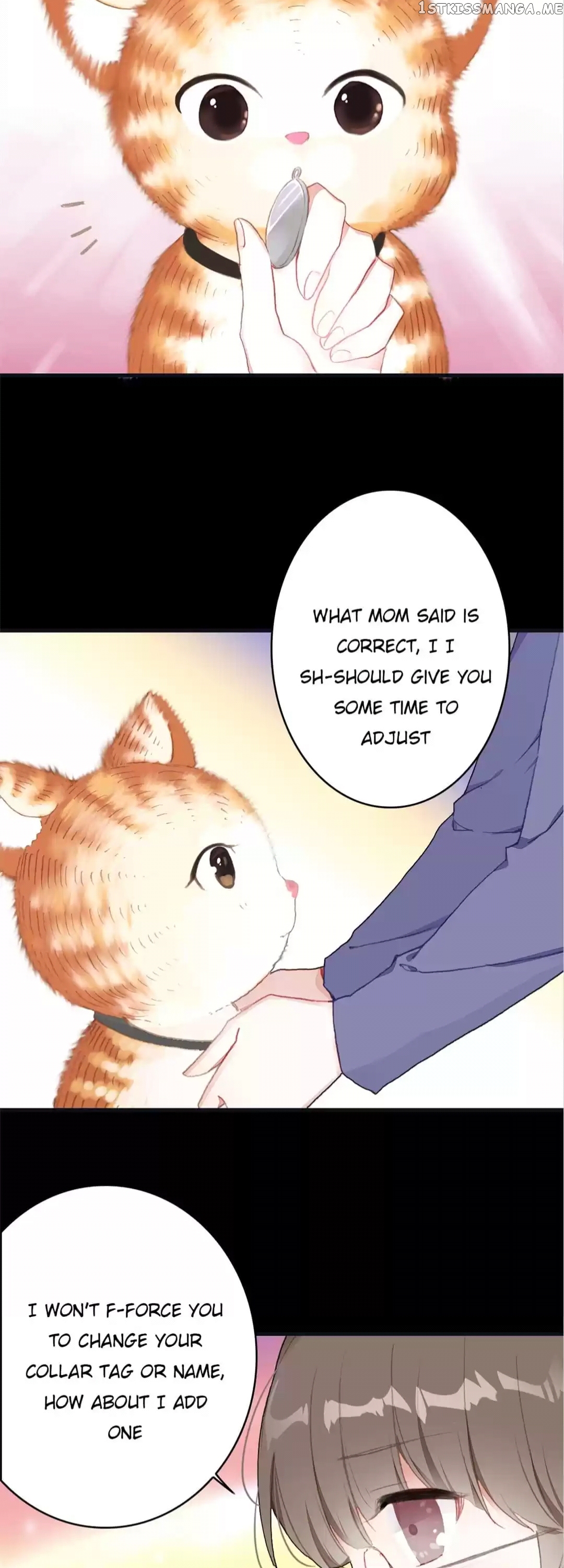 With Cats Only chapter 16 - page 5