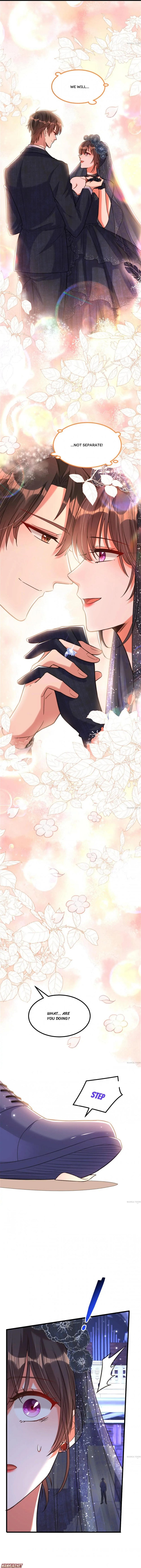 Spicy Wife’s Reborn World chapter 340 - page 3