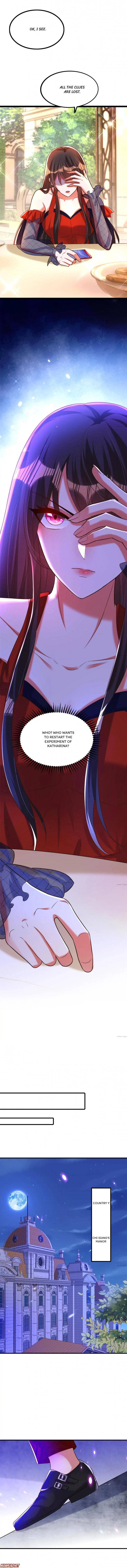 Spicy Wife’s Reborn World chapter 291 - page 6