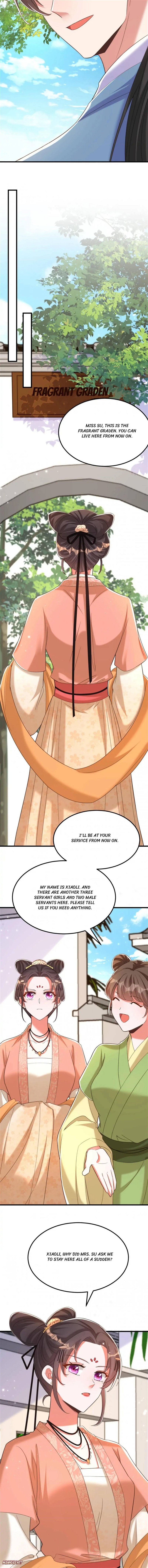 Spicy Wife’s Reborn World chapter 395 - page 6