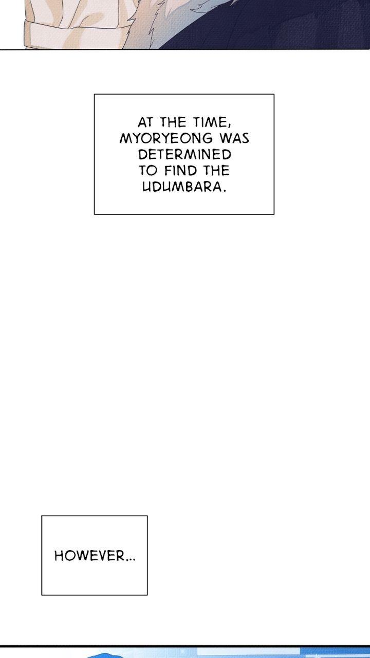 Homemade Freshs chapter 34 - page 13