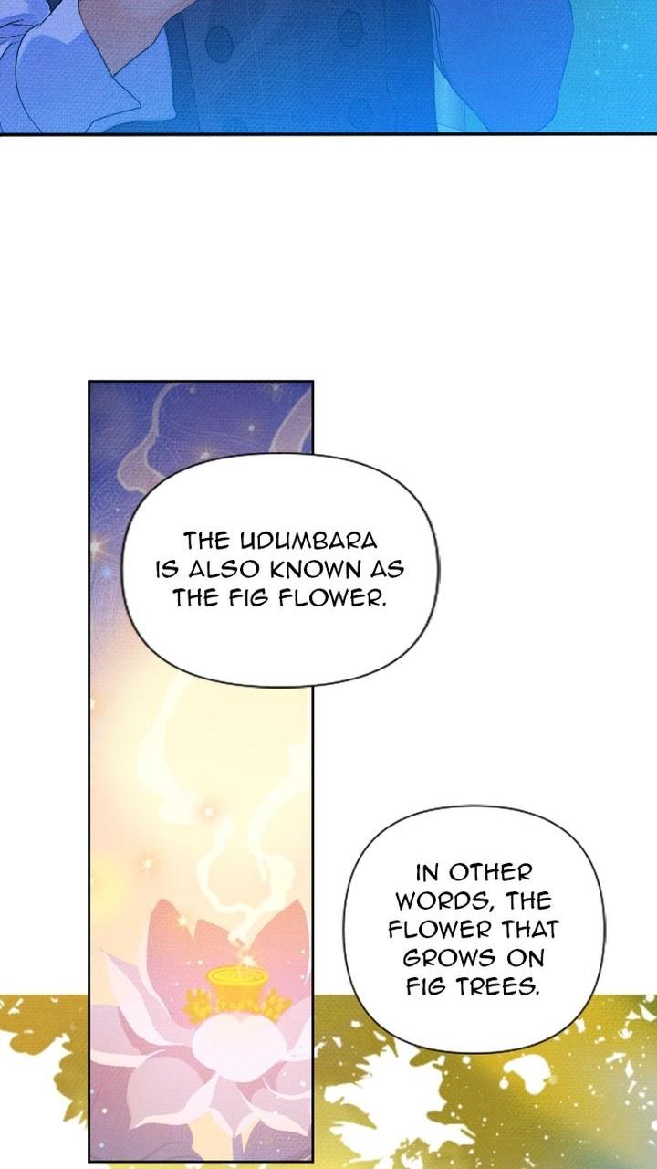 Homemade Freshs chapter 34 - page 46