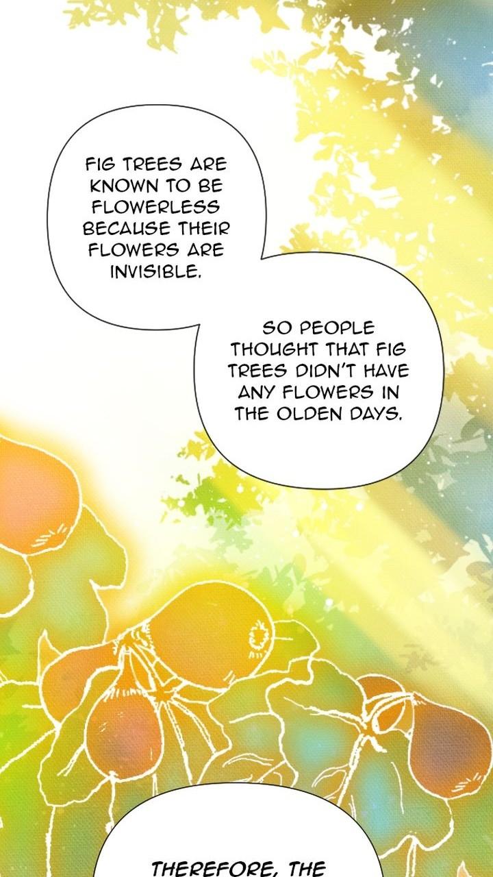 Homemade Freshs chapter 34 - page 47