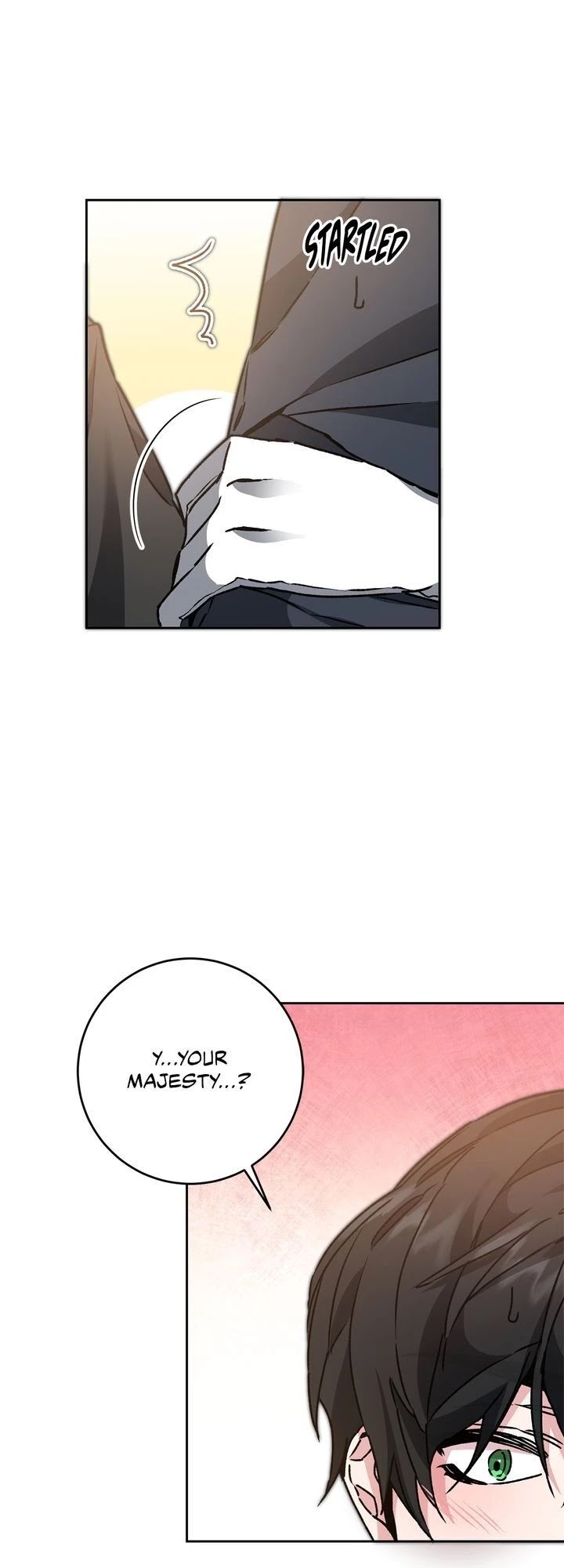 I’ve Become the Villainous Emperor of a Novel chapter 51 - page 17