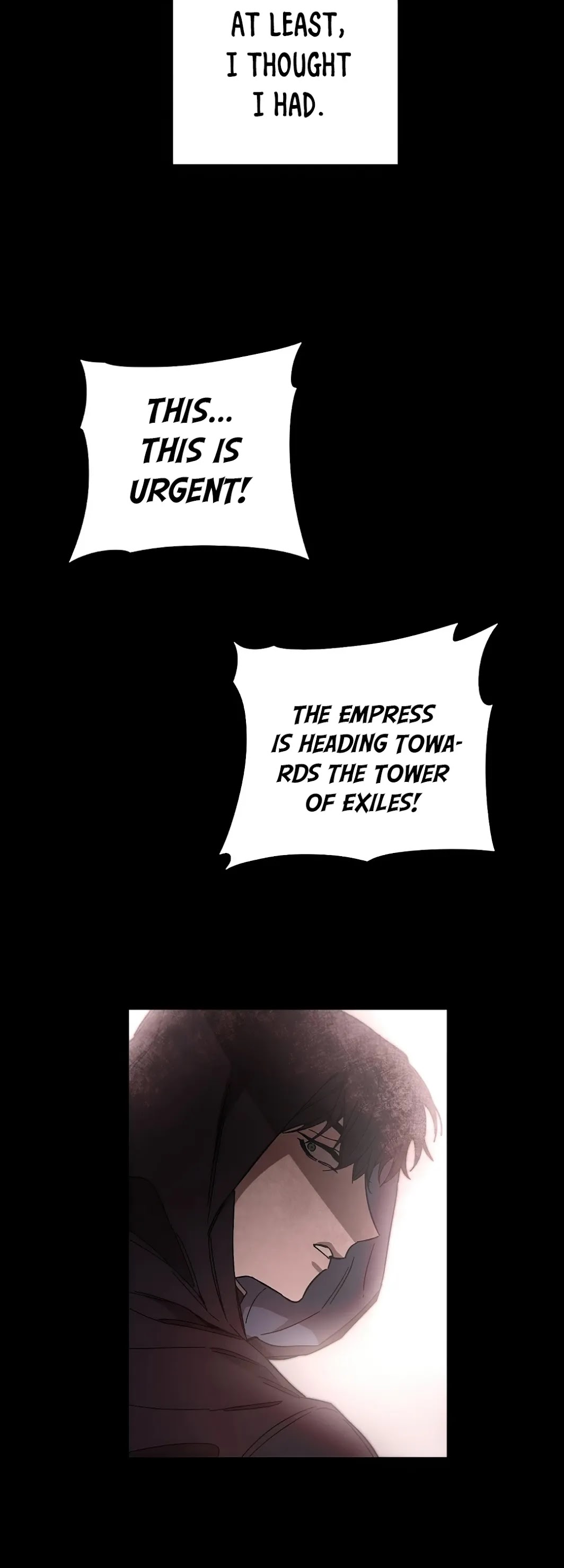 I’ve Become the Villainous Emperor of a Novel chapter 12 - page 17