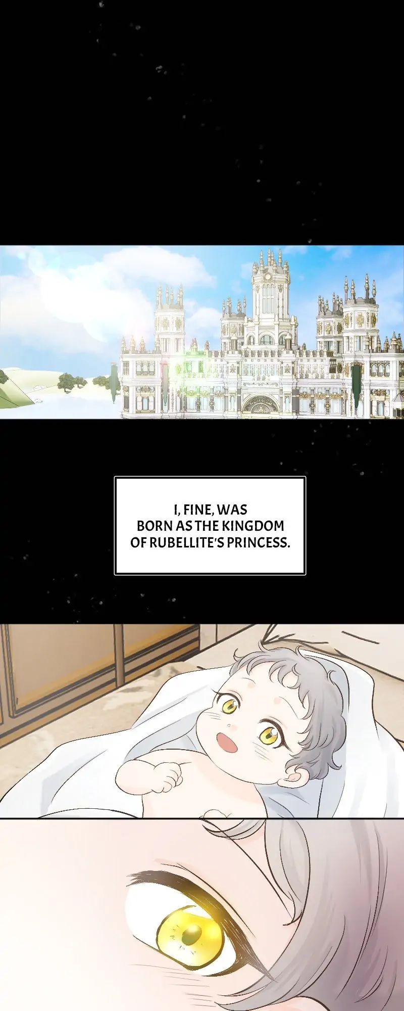 The Isolated King and the Imprisoned Princess Chapter 2 - page 1