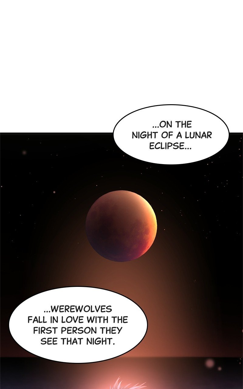 Dark Moon: The Blood Altar Chapter 14 - page 47
