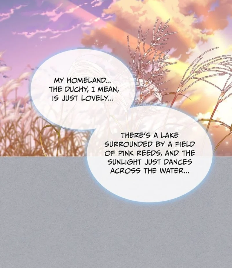 Truthfully, They Only Remembered Her Chapter 69 - page 13