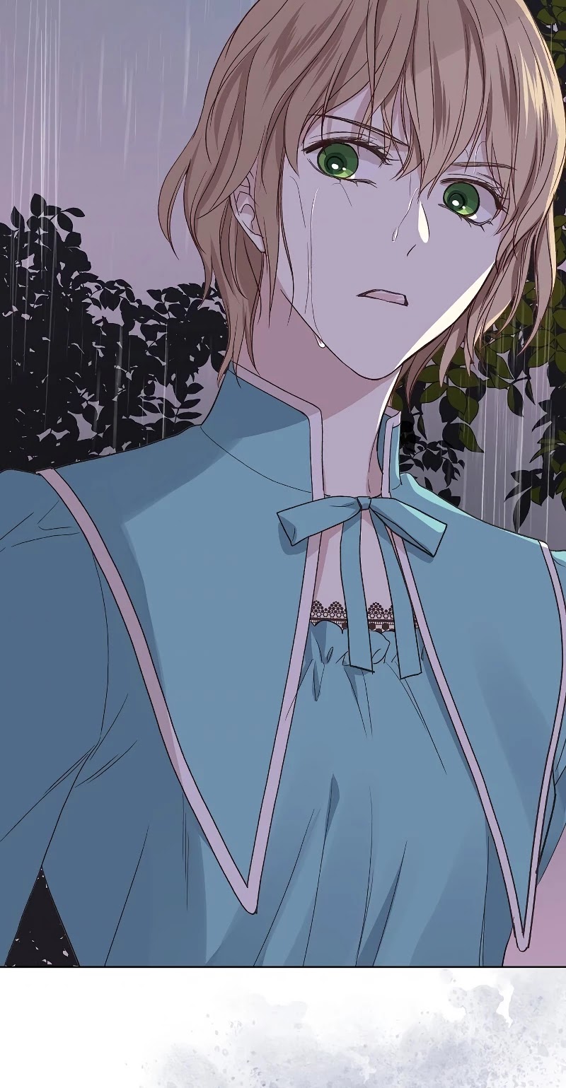 Truthfully, They Only Remembered Her Chapter 39 - page 28