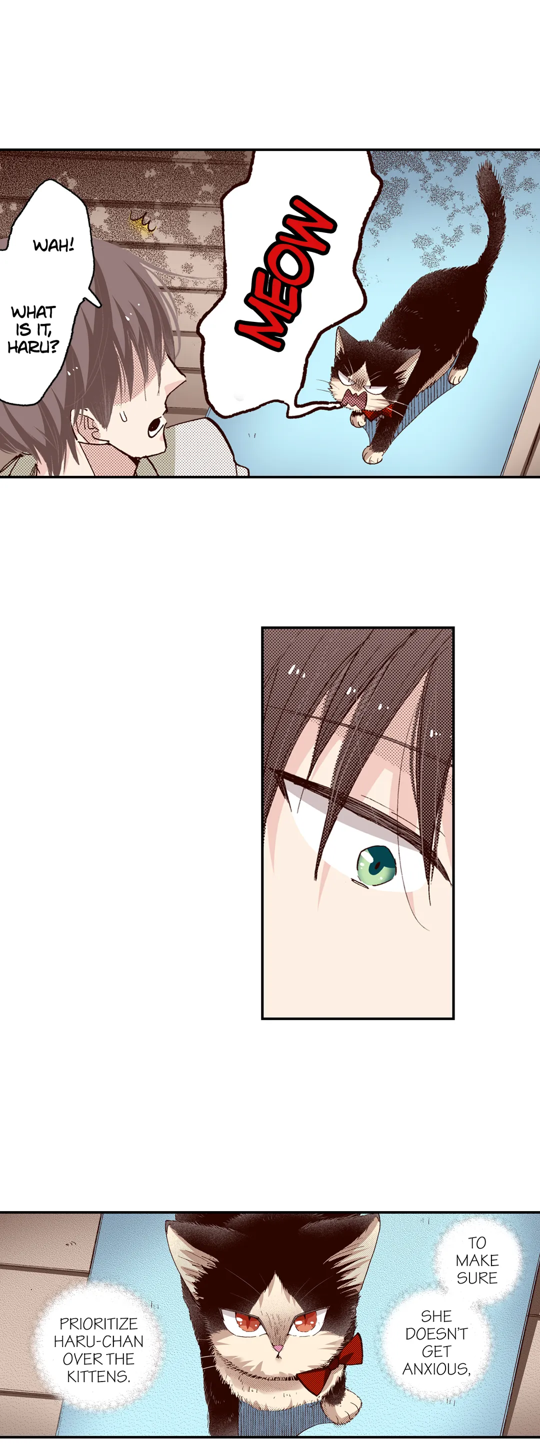 My Roommate Is A Cat Chapter 62 - page 11