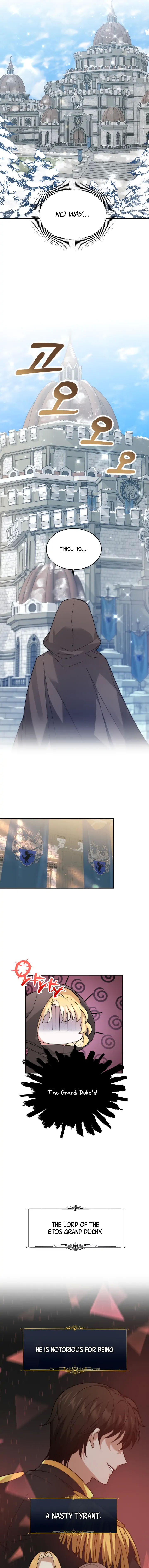 My Ex-Husband Became the Male Lead Chapter 1 - page 17