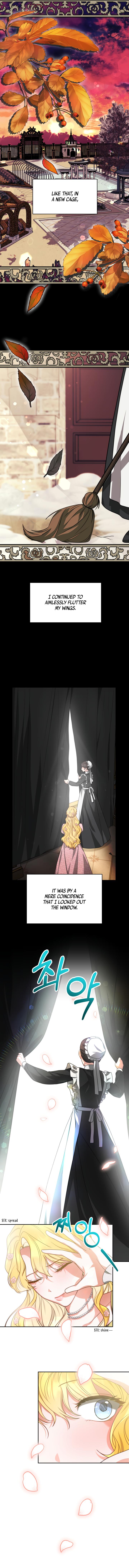 My Ex-Husband Became the Male Lead Chapter 17 - page 4