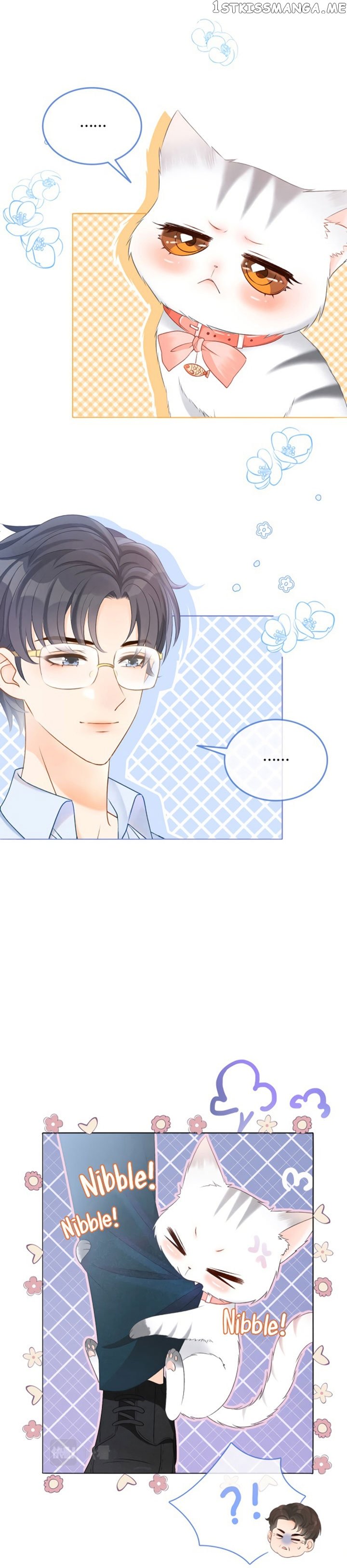 She’s Gone Viral Again Chapter 13 - page 6