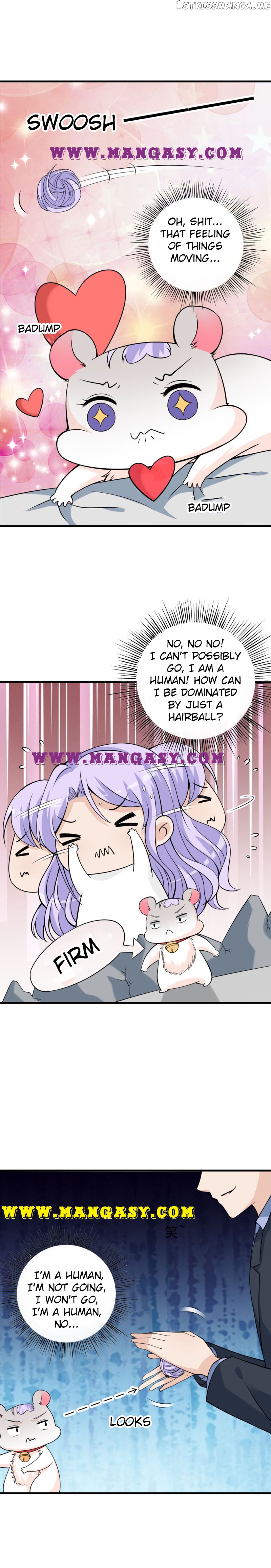 Hey, Don’t Pet Me! Chapter 36 - page 3