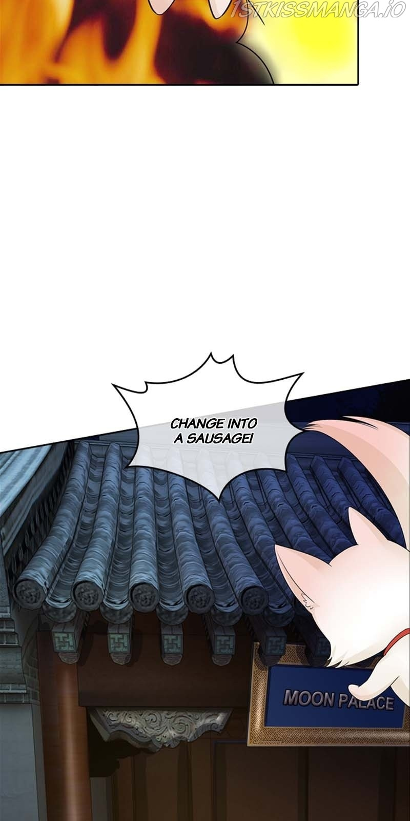 Destined to be Empress chapter 67 - page 5
