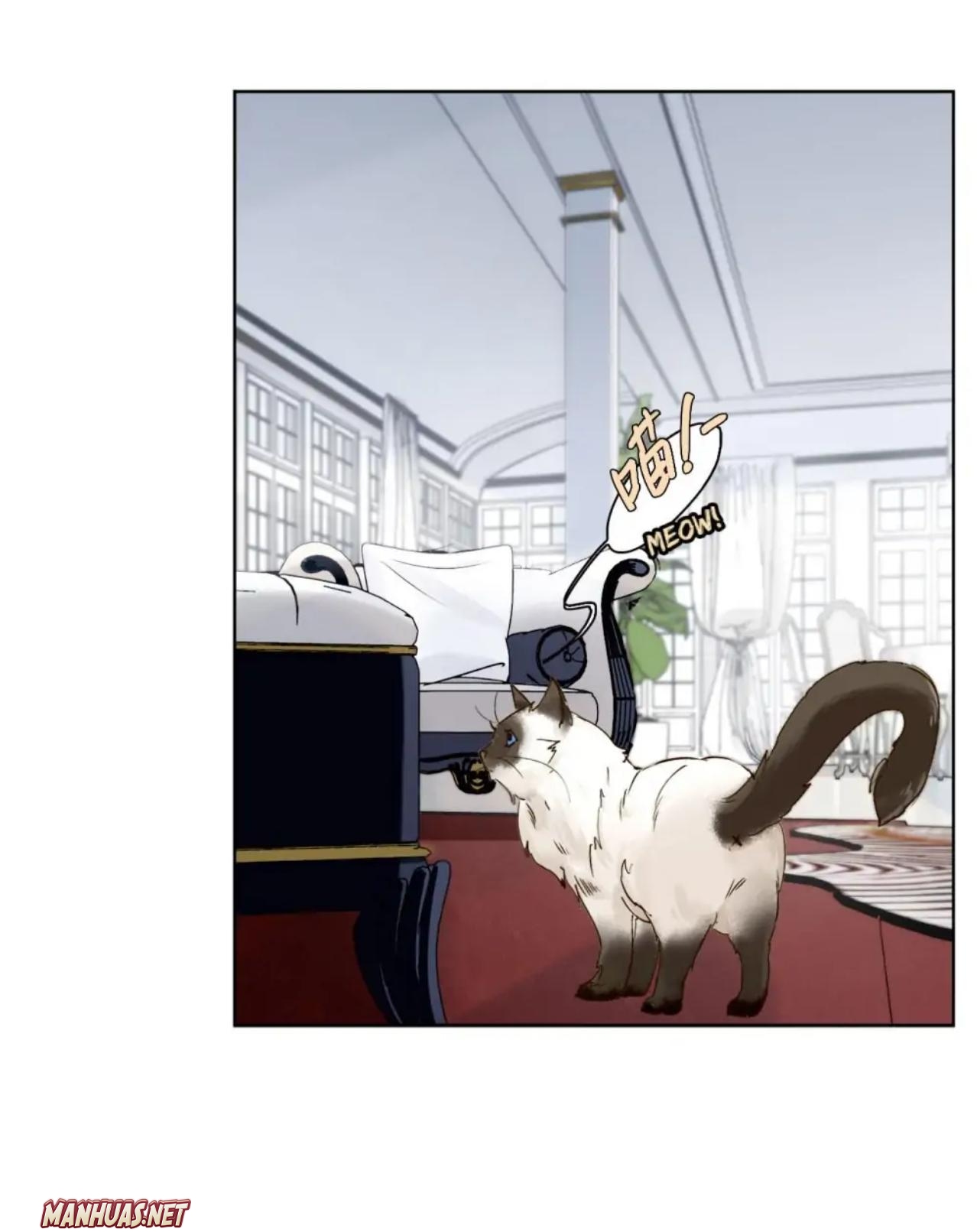 She is coming, please get down! chapter 12 - page 4