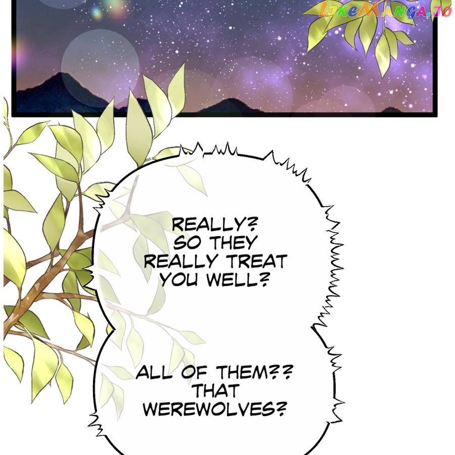 WEREWOLF KING’S WIFE Chapter 31 - page 3
