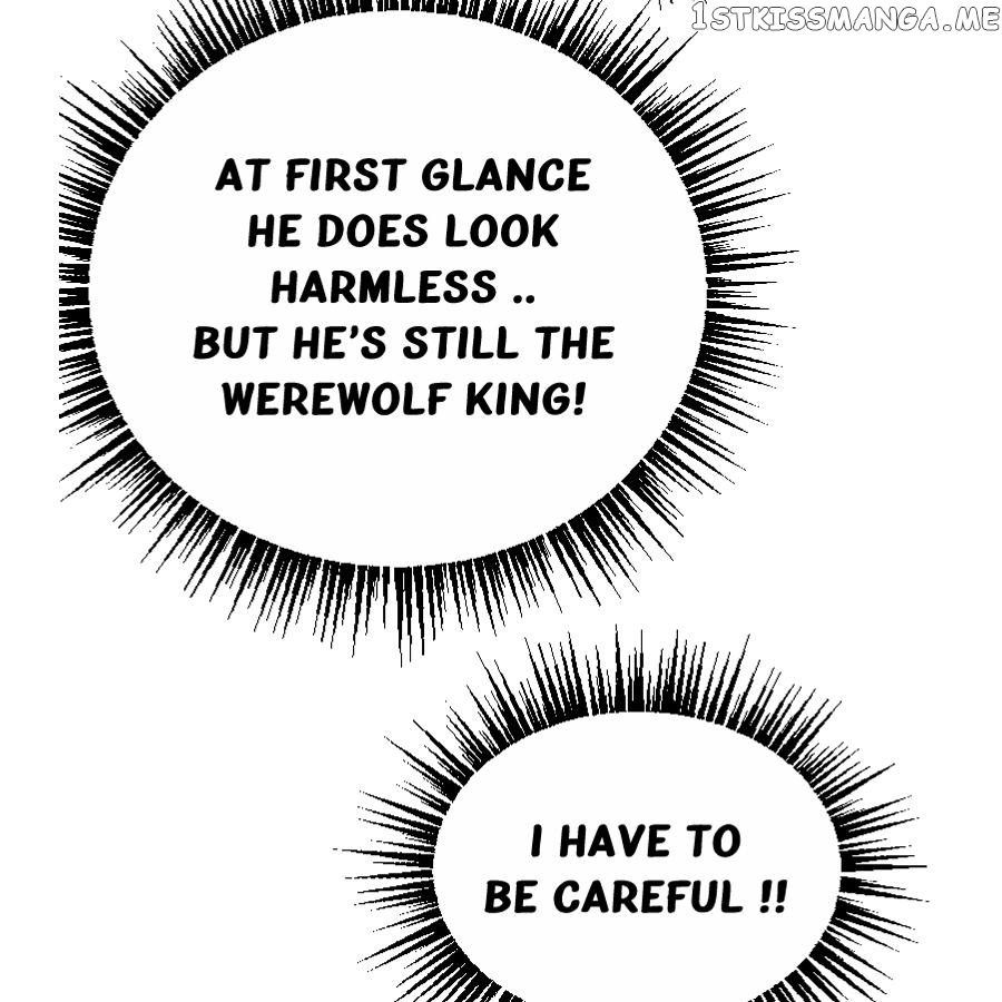 WEREWOLF KING’S WIFE Chapter 5 - page 6