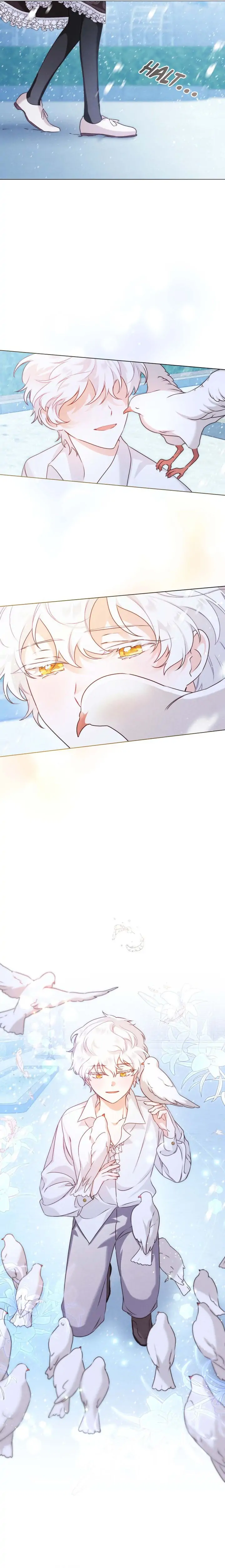 The Golden Light of Dawn Chapter 12 - page 11