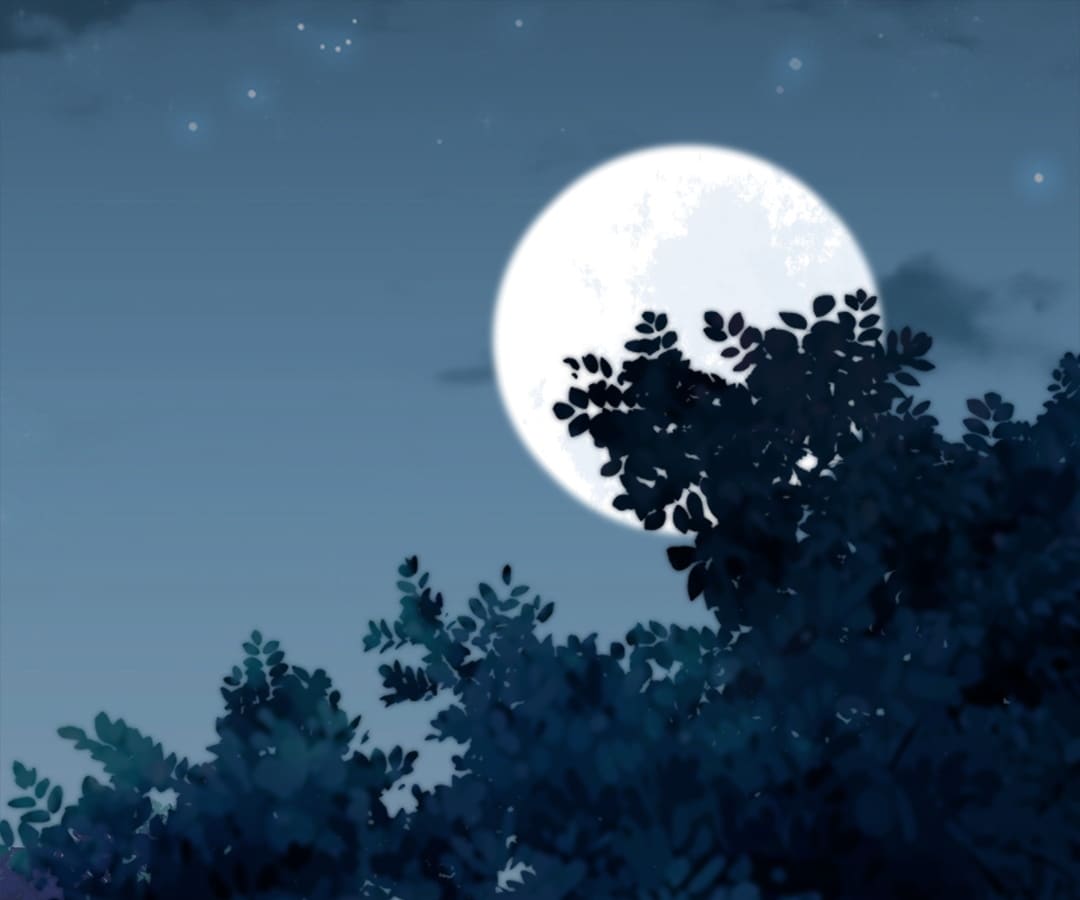 Lost Phoenix: Spoil the Repudiated Empress Chapter 2 - page 23