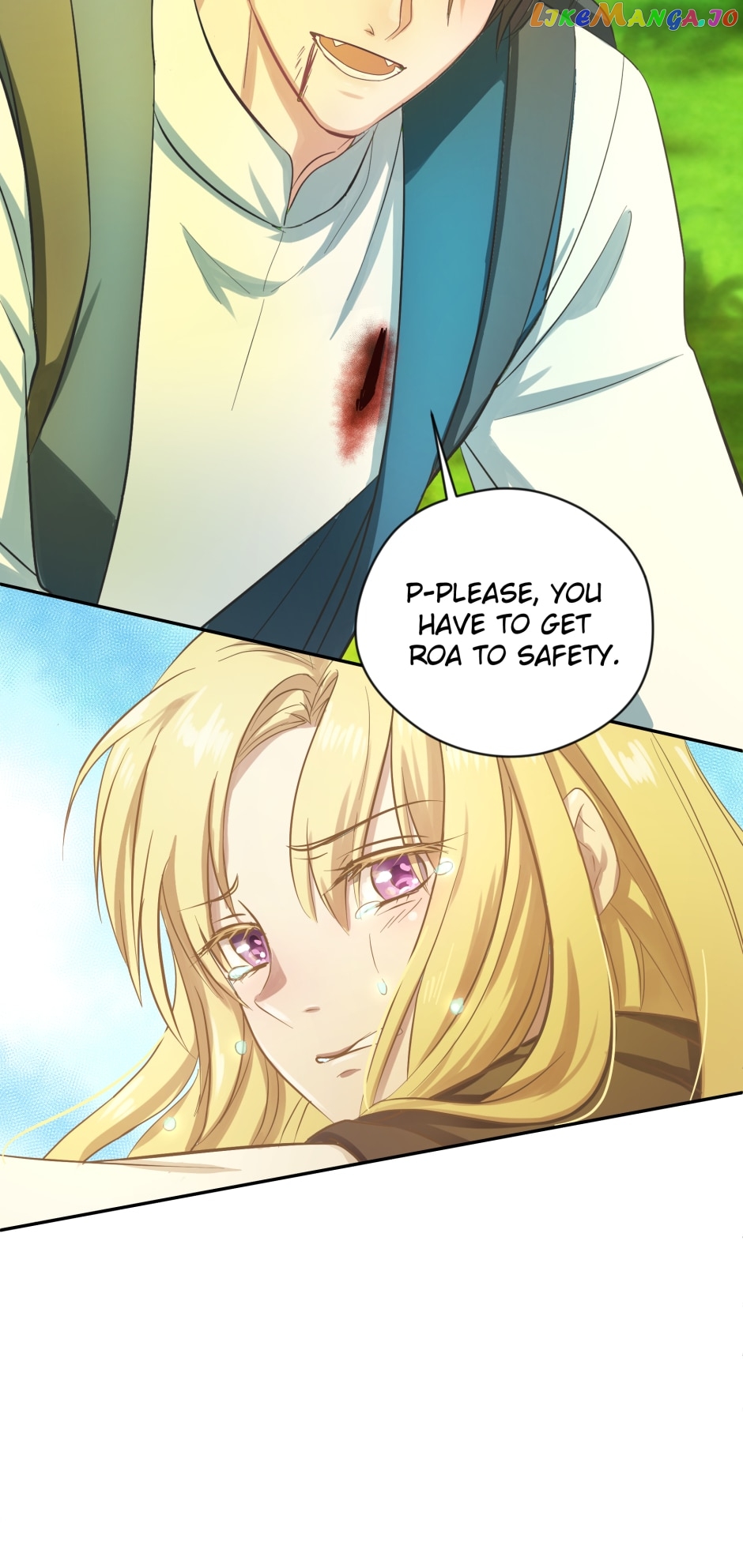The Princess and The Demon Chapter 26 - page 17